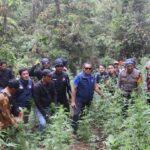 Ketahuan Tanam Ganja 3 Orang di Lereng Semeru Divonis 20 Tahun Penjara