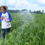 Pupuk Kaltim Bidik 100 Ribu Hektar Lahan Gabung Program MAKMUR