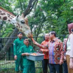 Penjelasan Pengelola soal Wacana Harga Tiket Ragunan Naik: Insya Allah Enggak Mahal Kok