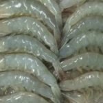 Amerika Serikat Boikot Udang Beku asal Indonesia Gara-Gara Terkontaminasi